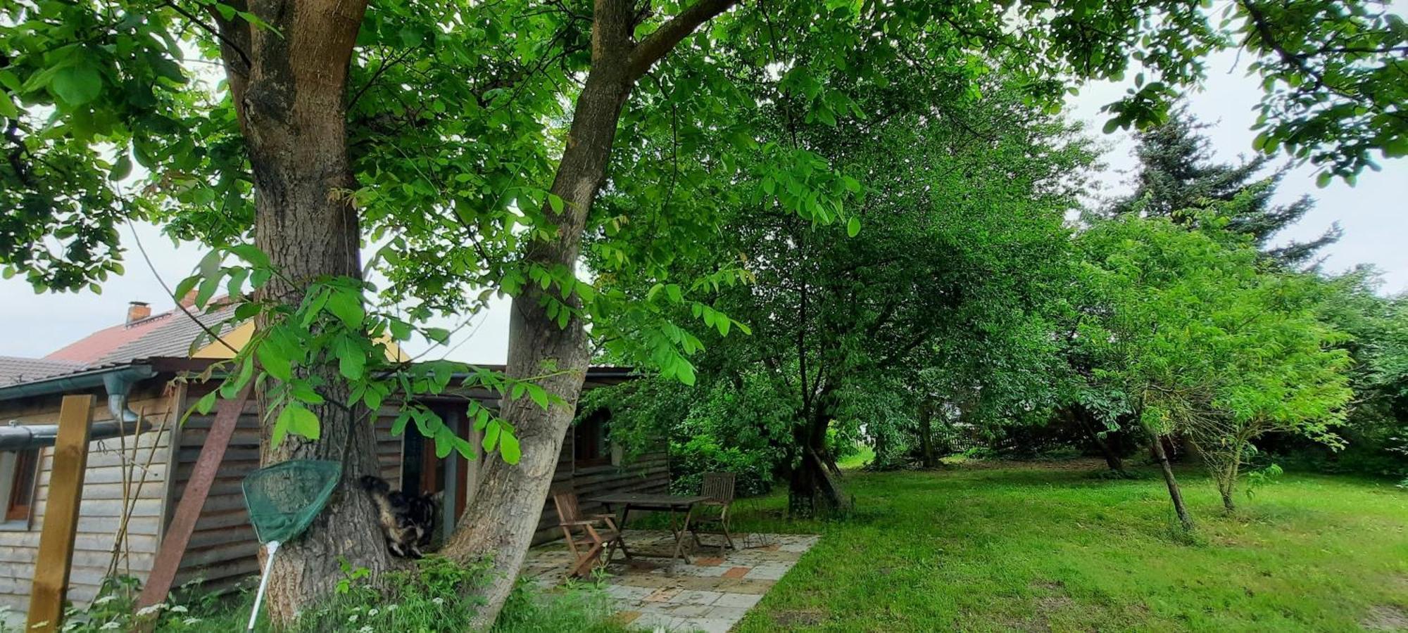 Ferienhaus Luna Villa Drahnsdorf Exteriör bild