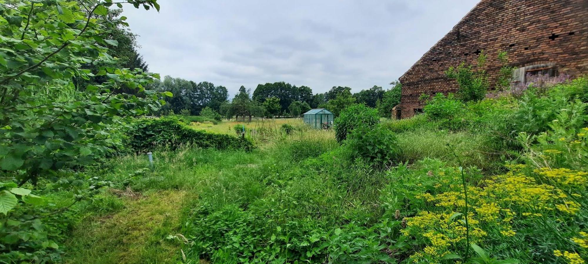 Ferienhaus Luna Villa Drahnsdorf Exteriör bild