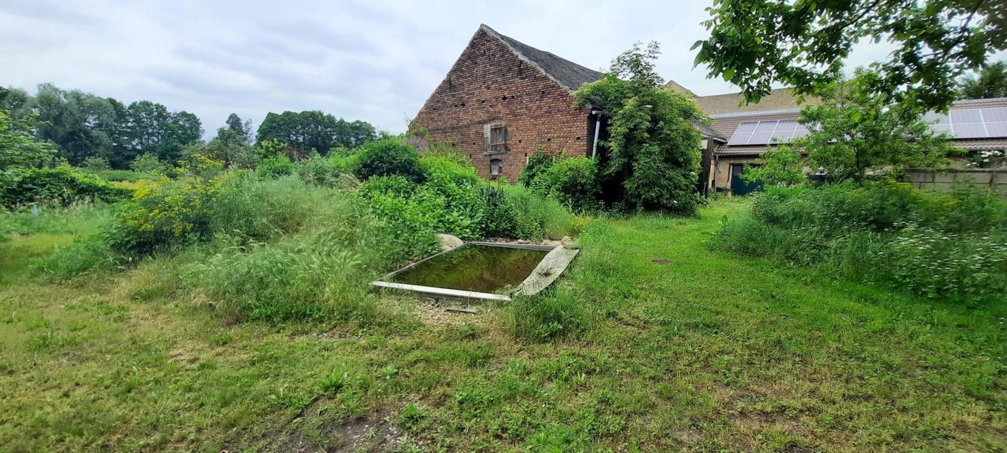 Ferienhaus Luna Villa Drahnsdorf Exteriör bild