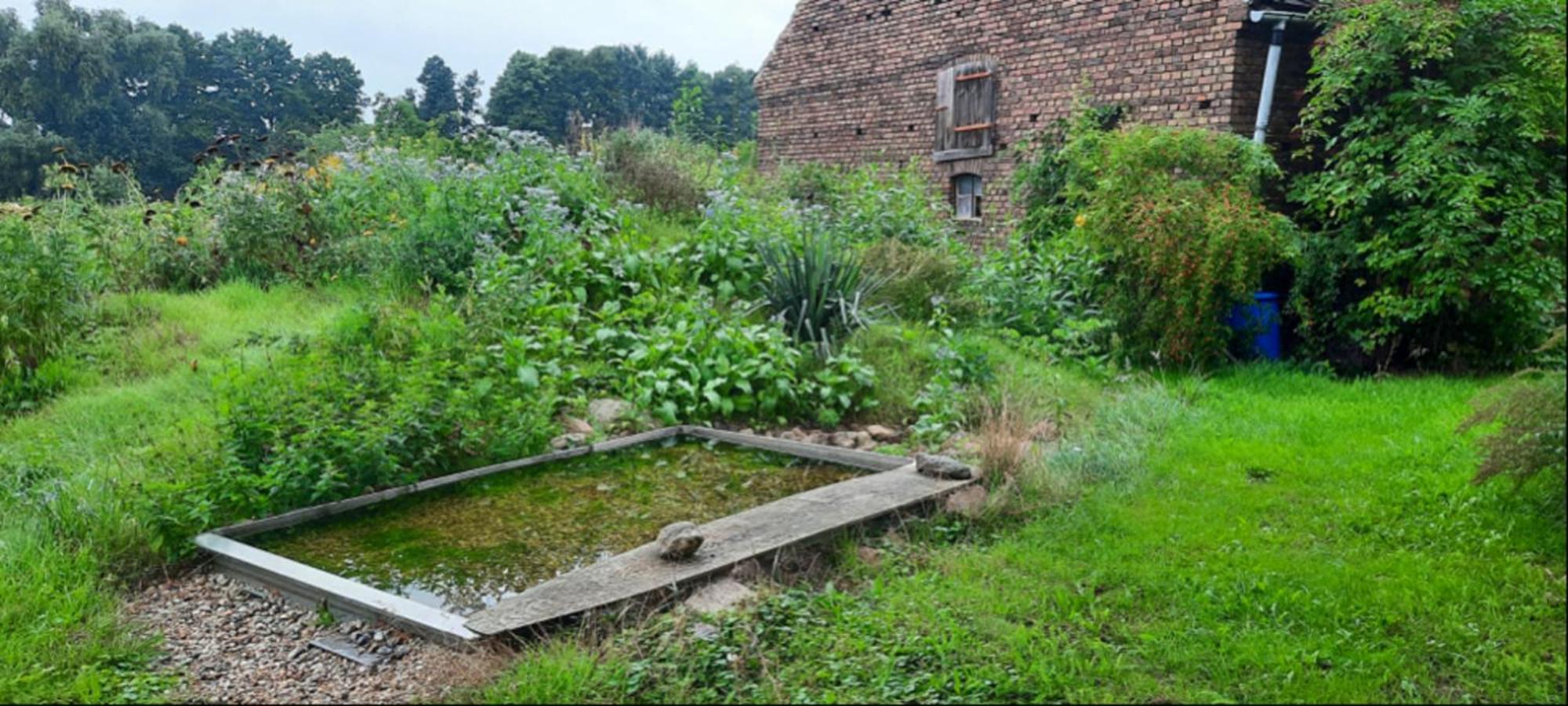 Ferienhaus Luna Villa Drahnsdorf Exteriör bild