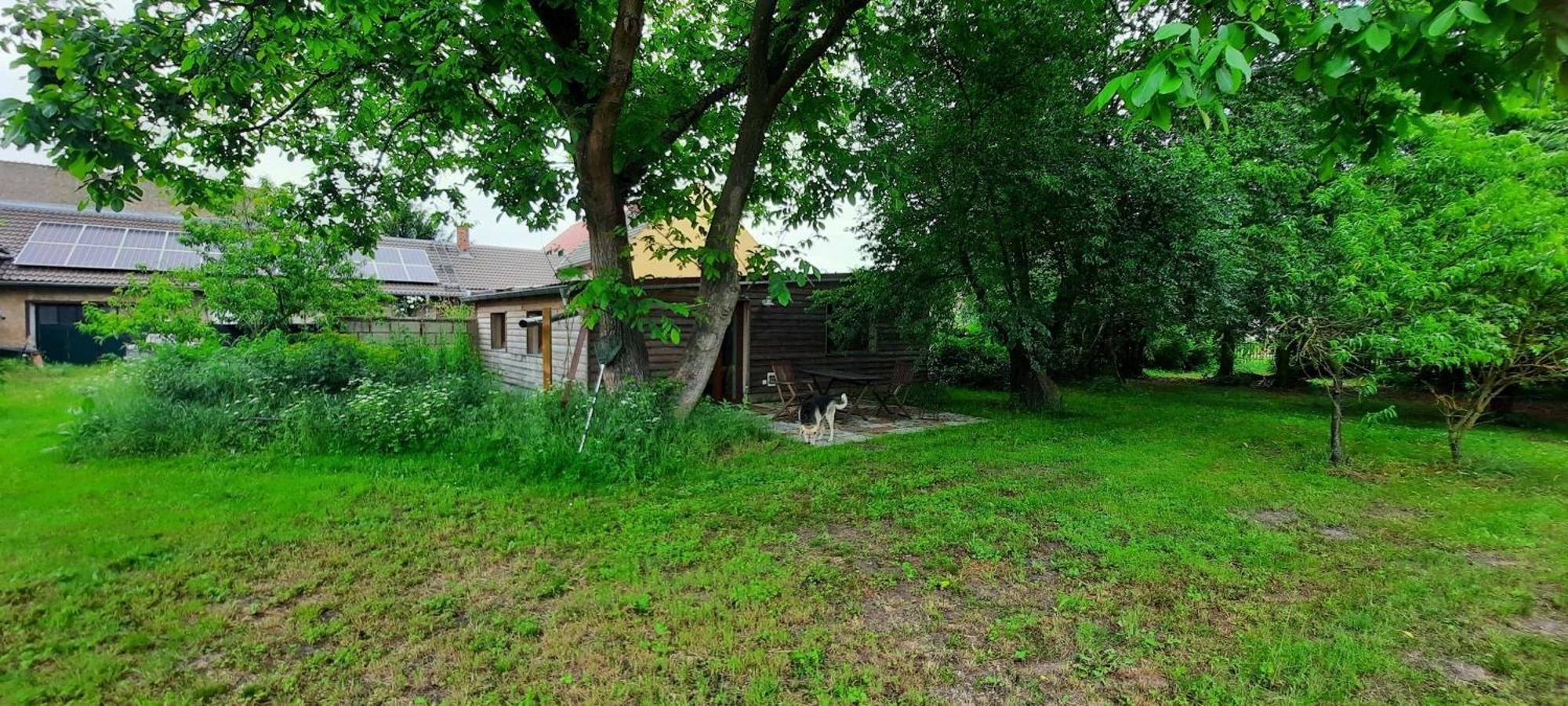 Ferienhaus Luna Villa Drahnsdorf Exteriör bild